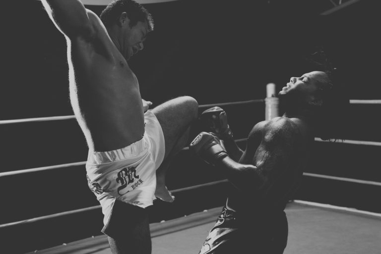 sobreposição entre topo do Google e fontes citadas por IA